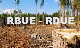 This image for Image Layouts addon