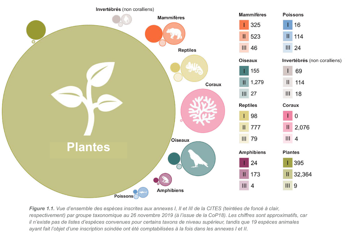 F World Wildlife Trade Report CITES min
