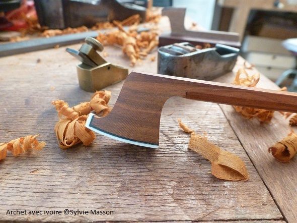 Archet-avec-ivoire-Sylvie-Masson